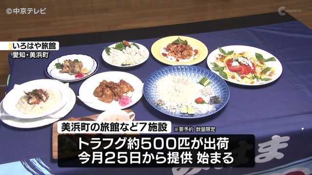 陸上養殖場で育てたトラフグ 約500匹が出荷迎える 愛知・美浜町