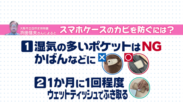スマホケースにカビが生える！？　“つけっぱなし”で“2年以上使用”は要注意　街の人の約4割に発生しているという説も…　専門家が教える簡単カビ対策
