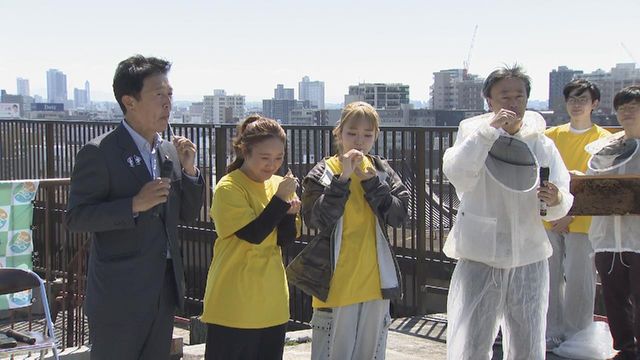 名古屋市役所の屋上でミツバチ飼育　「金シャチハニー」として6月下旬以降に販売予定