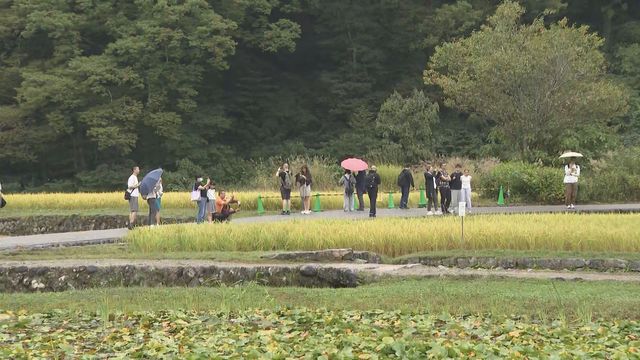 クマの警戒続く　子どもたちは保護者に付き添われ登校　外国人観光客がクマに襲われ　岐阜・白川村