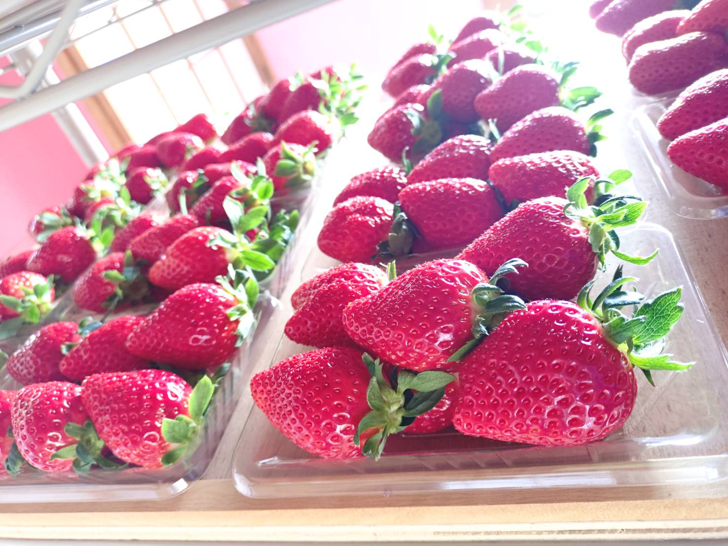 三重・松阪市「髭のよつぼし」が全国いちご選手権で金賞 “抜群の甘さ