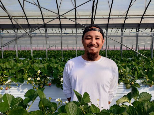 三重・松阪市「髭のよつぼし」が全国いちご選手権で金賞　“抜群の甘さ”で全国432品の激戦を突破、おいしさを引き出す栽培のこだわりとは？