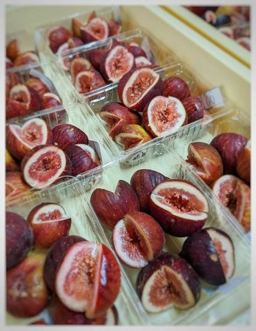 【愛知・東三河】食品ロス削減に挑む老舗和菓子店 規格外の野菜・果物を“ここでしか食べられない和菓子”へ もったいない精神で地域活性化狙う