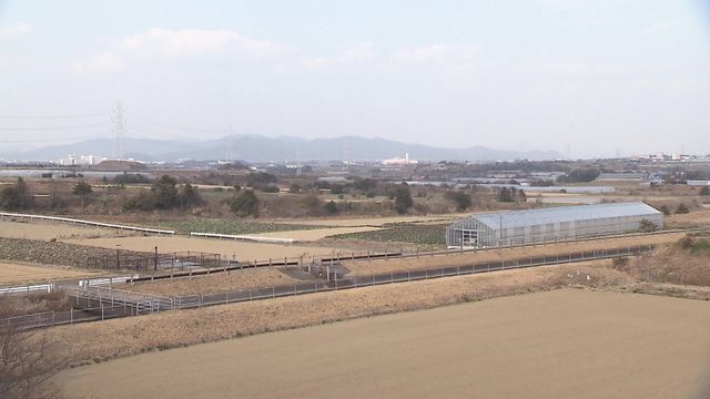 豊橋で働く車が“パレード”　中東情勢で“国産野菜”に期待　愛知・豊橋市の小学校