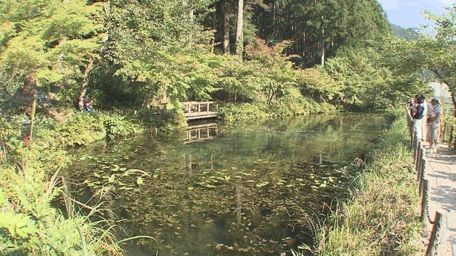 “ご当地映画”トラブル　補助金全額2000万円返還へ　4週間以上の上映が見込めないなど補助金交付条件を満たさず　岐阜・関市