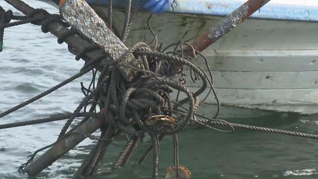 津波被害を受けたカキの養殖いかだ　復旧作業始まる　三重・鳥羽市