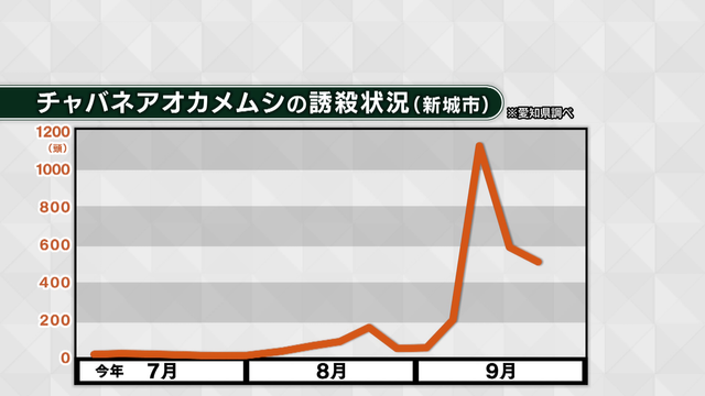 「カメムシ」大量発生で秋の味覚も大打撃　愛知県の柿の被害は過去10年で最悪　カメムシに吸われた柿は黒ずんでボコボコに…