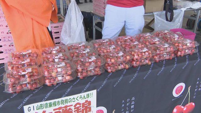 「さくらんぼ種飛ばし」7年ぶりに開催へ 全国の最高記録は20メートル5センチ 山形県東根市との空路交流がきっかけ 愛知・豊山町