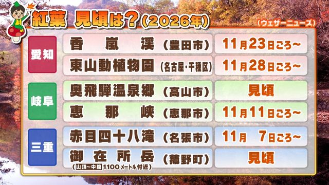紅葉進むも…平年より色づき遅め? 愛知・豊根村の茶臼山高原の紅葉の見頃は11月上旬に