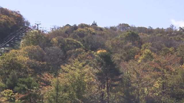 紅葉進むも…平年より色づき遅め? 愛知・豊根村の茶臼山高原の紅葉の見頃は11月上旬に