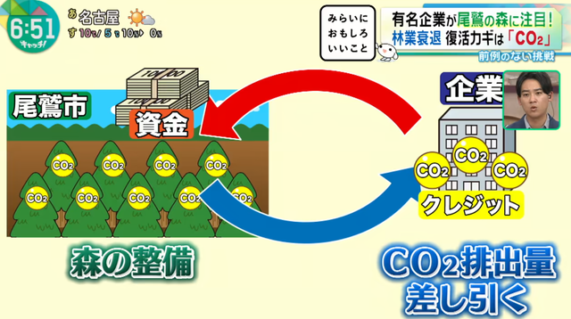 「税金で動いている限り試行錯誤できない」　名だたる大手企業が熱視線を送る“尾鷲の森”　衰退する林業の“起死回生の一手”　木を切らずに森の価値を高めた方法とは…？　三重・尾鷲市