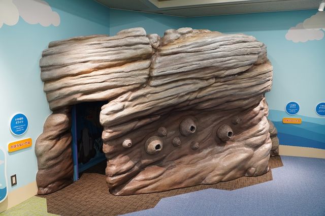【27年ぶりの大改修】碧南海浜水族館に“靴を脱いで遊べる”新エリアが3月オープン、すべり台に洞窟探検など親子で楽しめる仕掛けが満載