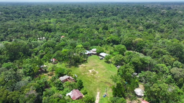 地球の裏側で木を植え続けて30年　先住民が“家族”と呼ぶ日本人の挑戦　「植える文化を人の心に植えていきたい」