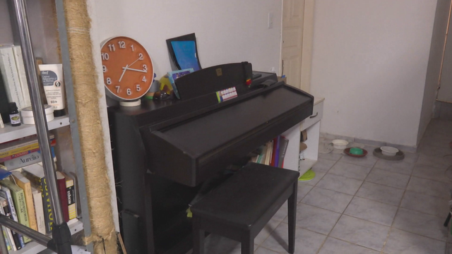 地球の裏側で木を植え続けて30年　先住民が“家族”と呼ぶ日本人の挑戦　「植える文化を人の心に植えていきたい」