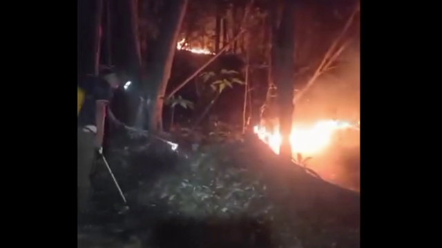 地球の裏側で木を植え続けて30年　先住民が“家族”と呼ぶ日本人の挑戦　「植える文化を人の心に植えていきたい」