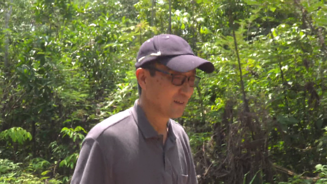 地球の裏側で木を植え続けて30年　先住民が“家族”と呼ぶ日本人の挑戦　「植える文化を人の心に植えていきたい」