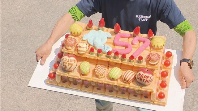 今年4月に57歳を迎えたアジアゾウのふじ子、高齢のために死ぬ 愛知・岡崎市の東公園動物園