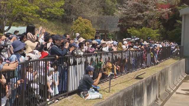 今年4月に57歳を迎えたアジアゾウのふじ子、高齢のために死ぬ 愛知・岡崎市の東公園動物園