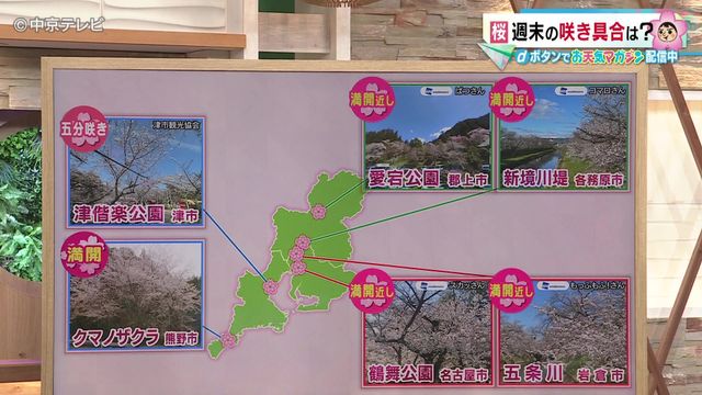 【お花見はどこにいく？】週末は各地で桜が満開へ　愛知・三重・岐阜の桜の名所を解説！