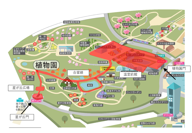 【東山動植物園】秋の風物詩「もみじ狩り」11月14日から開催 500本以上が紅葉する名古屋市の名所 「逆さもみじ」や「五色もみじ」の幻想的なライトアップも