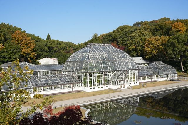 【東山動植物園】秋の風物詩「もみじ狩り」11月14日から開催　500本以上が紅葉する名古屋市の名所　「逆さもみじ」や「五色もみじ」の幻想的なライトアップも