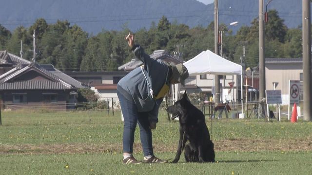 嘱託警察犬の審査会 シェパードなど26頭が参加 合格後は1年間警察犬として活躍 三重・鈴鹿市
