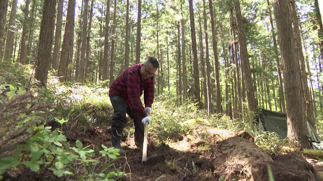 週末は森のオーナーに　「森レンタル」で手に入れる“大人の秘密基地”　地球温暖化や獣害対策にも一役買う放置された森の新たな活用術　岐阜・東白川村