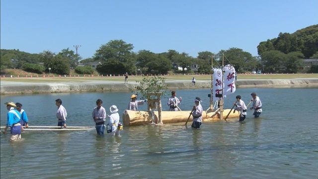 2033年の式年遷宮に向け「川曳」始まる　伊勢神宮にヒノキ運び入れ