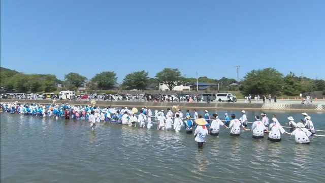 2033年の式年遷宮に向け「川曳」始まる　伊勢神宮にヒノキ運び入れ