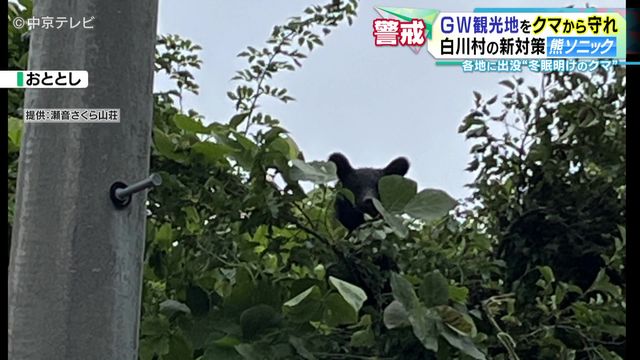 ＧＷ観光地をクマから守れ　白川村の新対策「熊ソニック」　各地に出没“冬眠明けのクマ”