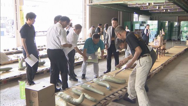 ことしのできばえやいかに!?特産「宿儺かぼちゃ」の品評会 岐阜・高山市