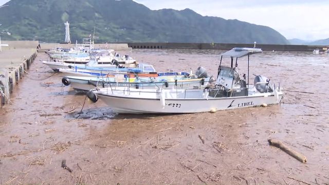 台風6号の大雨で…　漁港を覆う大量の流木とゴミ　“いけすの魚が心配”漁師と海へ　三重・尾鷲市