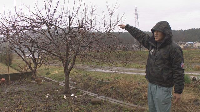 【特集】「大変だったけどそのときしかできない経験で強くなれた」受験のため離れて暮らす決断をした親子は今　能登半島地震から１年　 