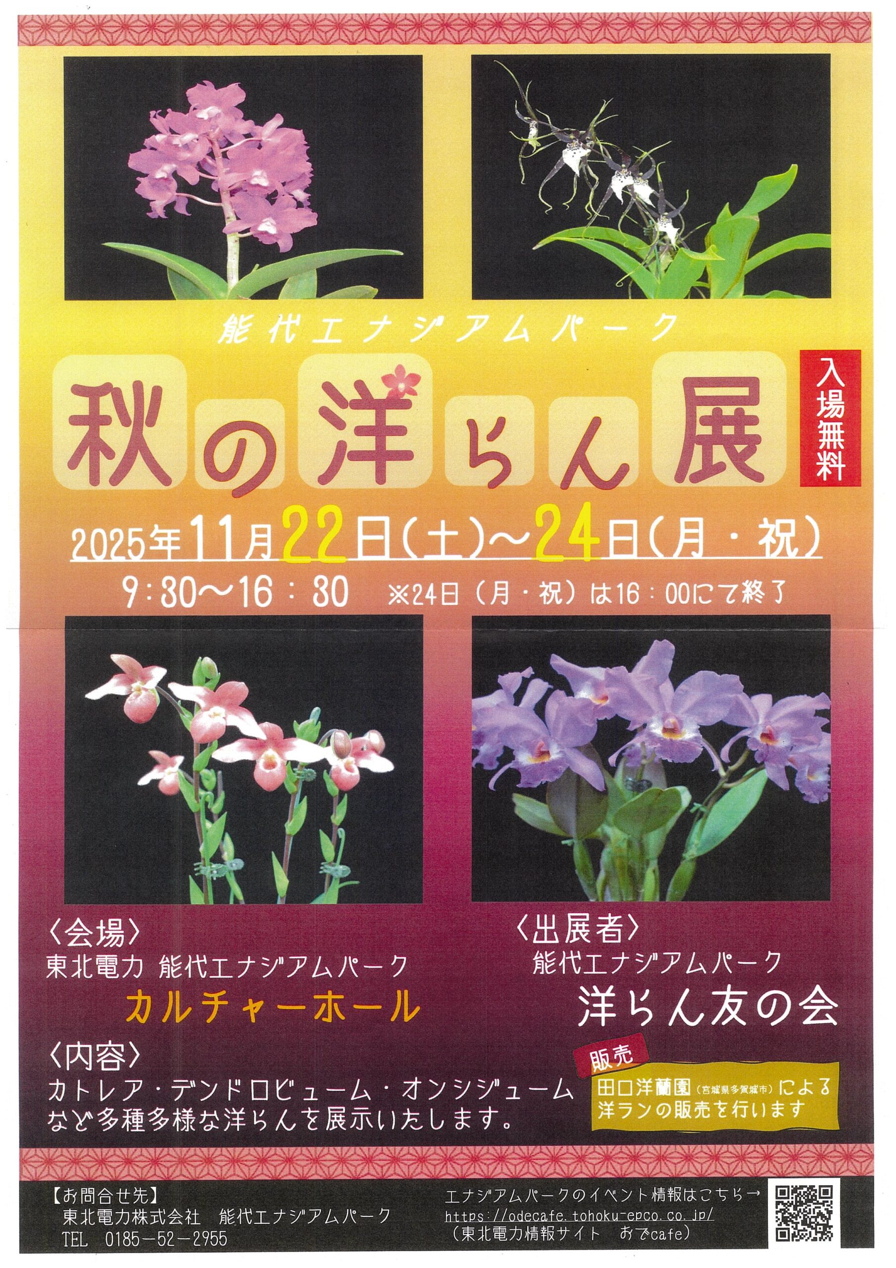 洋ラン等 一括譲渡 能代市で洋ランの展示会 友の会メンバーが丹精して育てた約80種 22日