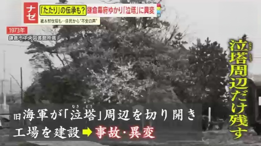 ナゼ】雑木林を伐採したら“大きな岩”が…古くから伝わる『たたり』の 